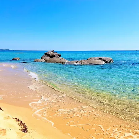 - Golden Seashell - Just 500 M From The Beach, Garden With Bbq, Sea View Terrace, Air Conditioning, Parking *